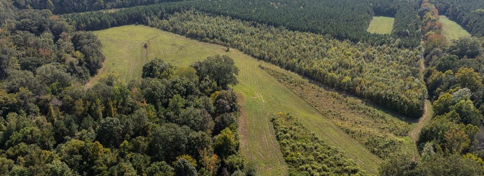 Farm Property for sale in Montgomery County, Mississippi