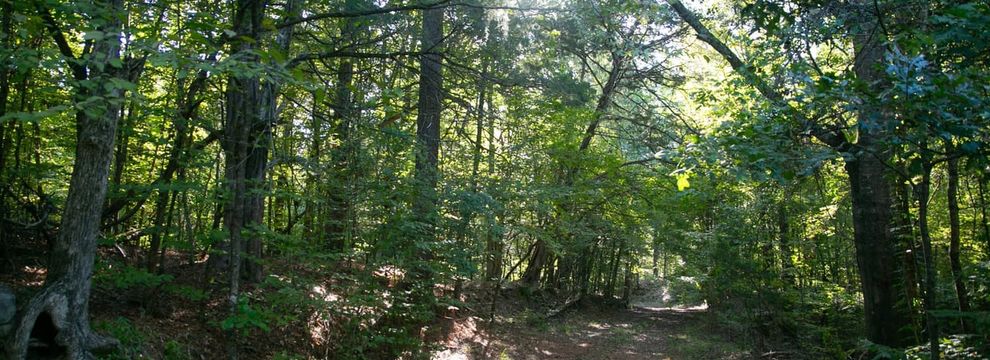 Ranch Property for sale in Claiborne County, Mississippi