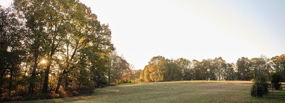 Property for sale in Williamson County, Tennessee