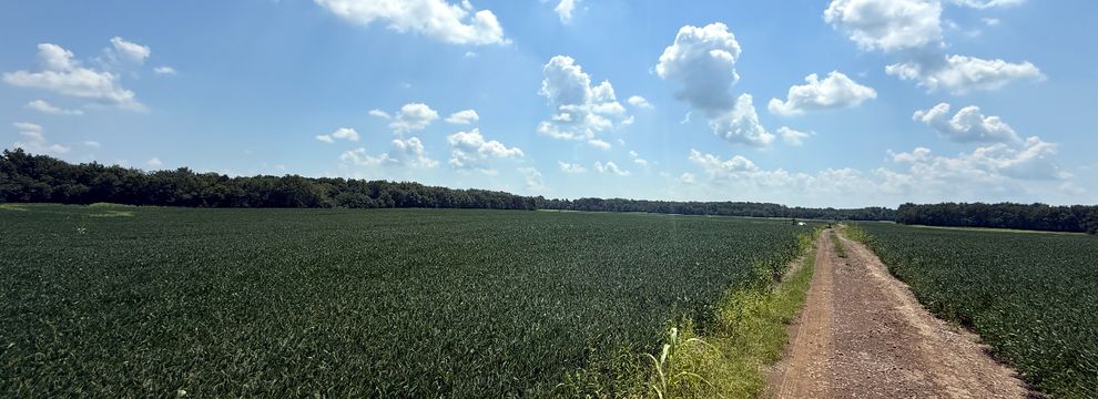 Ranch Property for sale in Gallatin County, Illinois