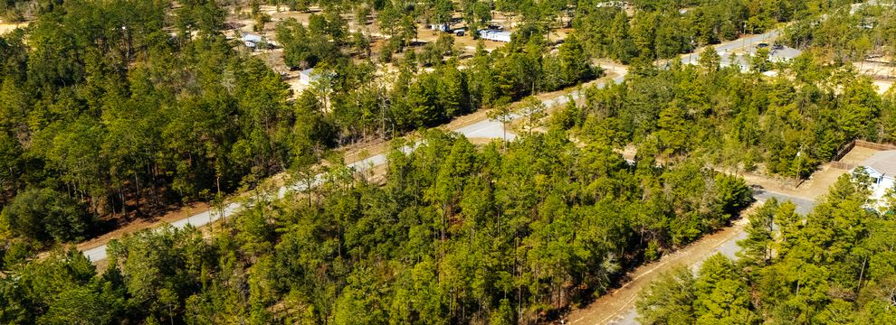 Undeveloped Land for sale in Washington County, Florida