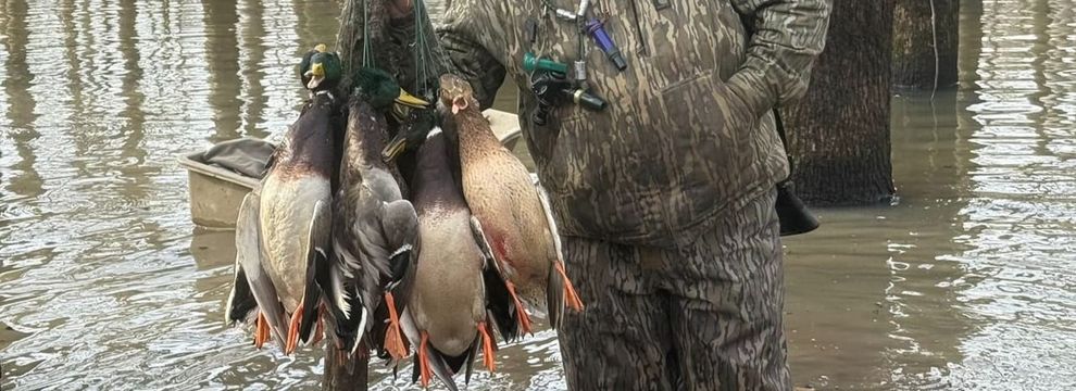 Hunting Land for sale in Monroe County, Arkansas