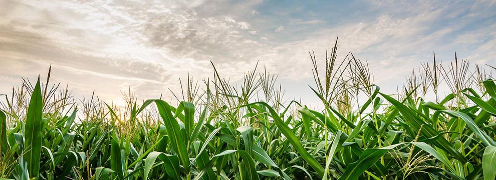 Farm Property for sale in Brule County, South Dakota