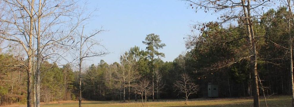 Hunting Land for sale in Monroe County, Georgia
