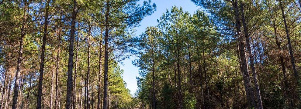 Ranch Property for sale in Jackson County, Florida