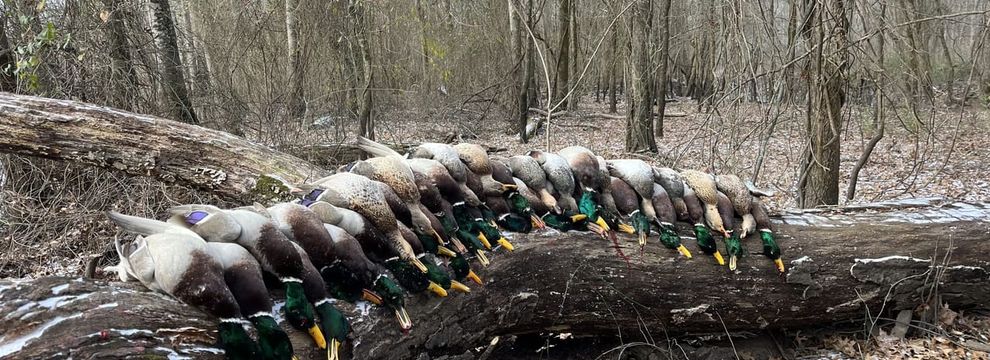 Hunting Land for sale in Woodruff County, Arkansas