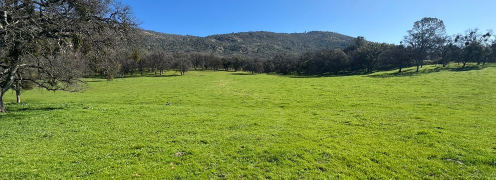 Hunting Land for sale in Mariposa County, California