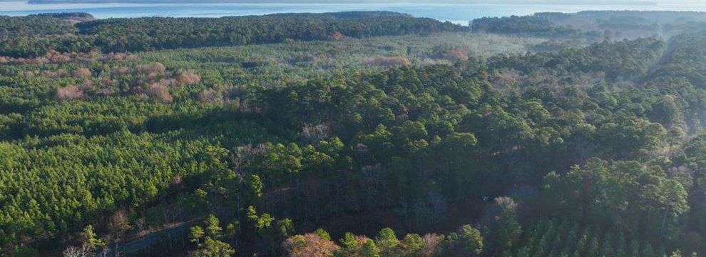 Undeveloped Land for sale in Sabine County, Texas