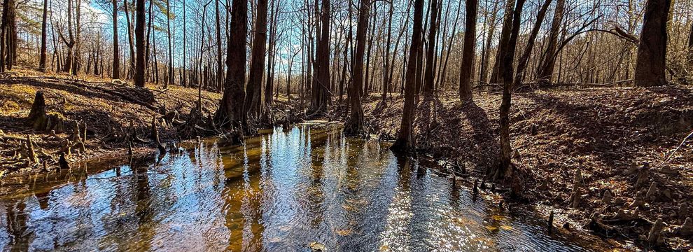 Farm Property for sale in Jasper County, Texas