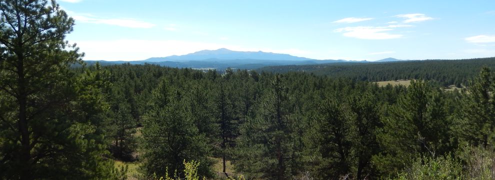 Hunting Land for sale in Park County, Colorado