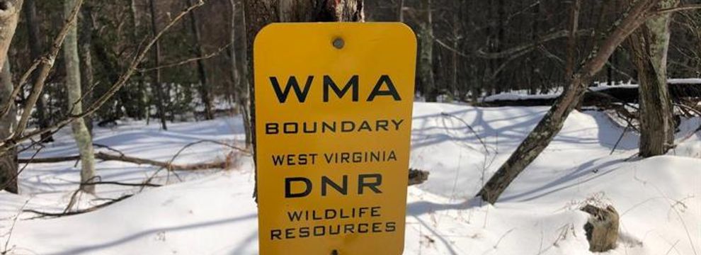 Undeveloped Land for sale in Hardy County, West Virginia