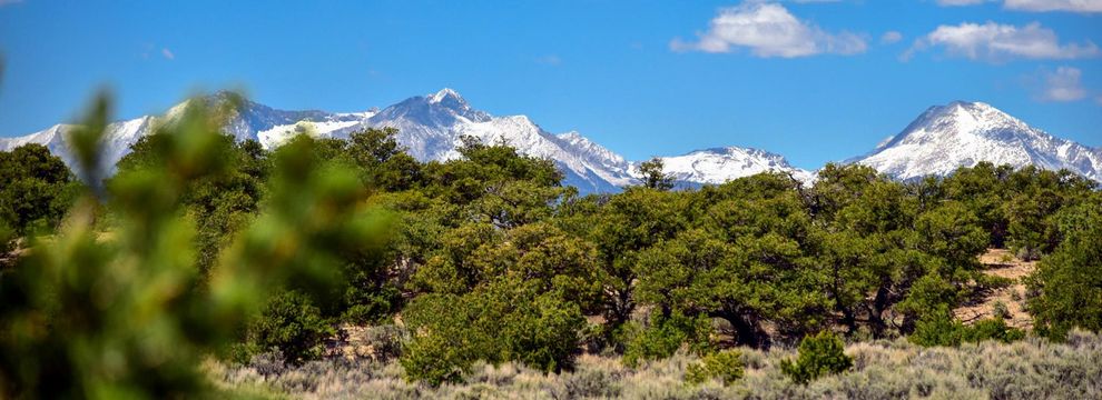 Undeveloped Land for sale in Costilla County, Colorado