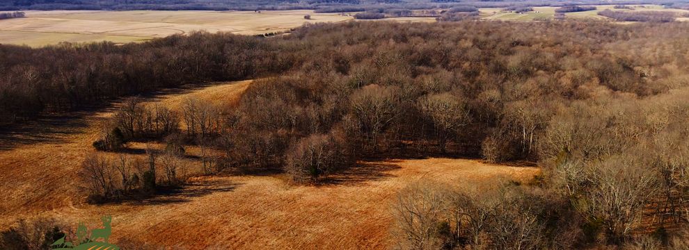 Timberland Property for sale in Pope County, Illinois