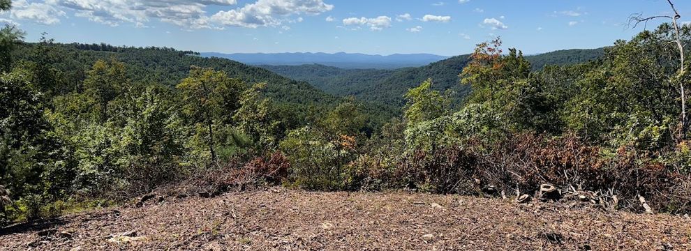 Farm Property for sale in Cherokee County, North Carolina
