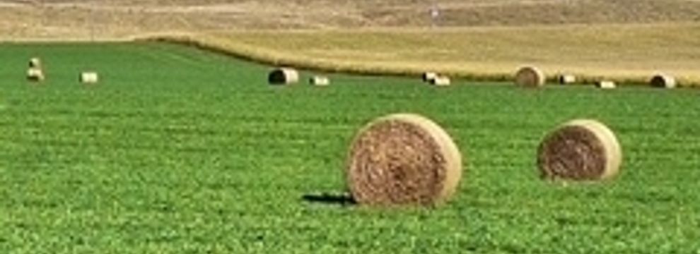 Ranch Property for sale in Yuma County, Colorado