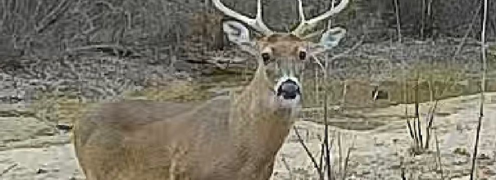 Farm Property for sale in Faulkner County, Arkansas