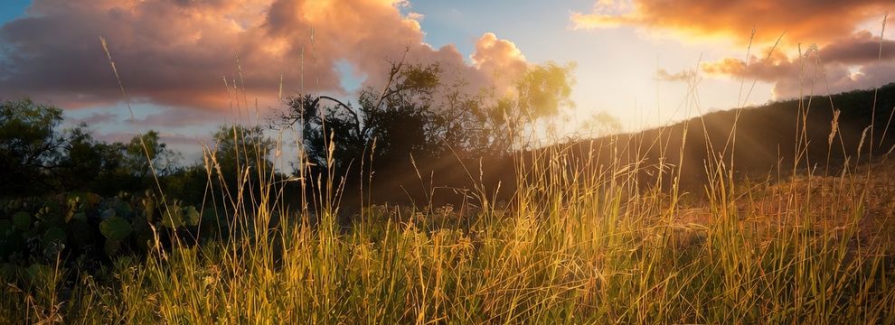 Farm Property for sale in Tom Green County, Texas
