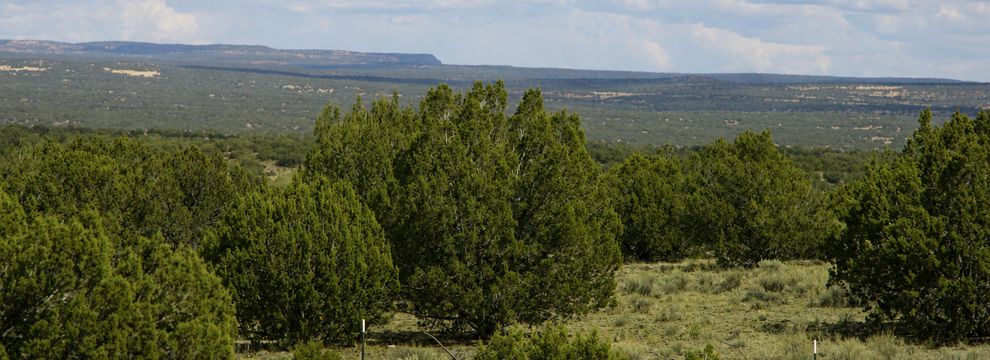 Farm Property for sale in Apache County, Arizona
