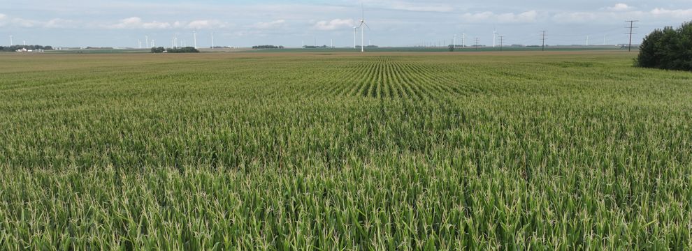 Farm Property for sale in Palo Alto County, Iowa