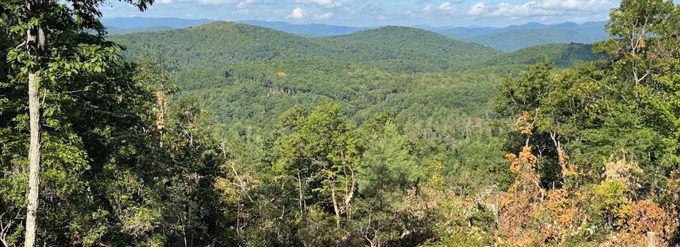 Property for sale in Wilkes County, North Carolina