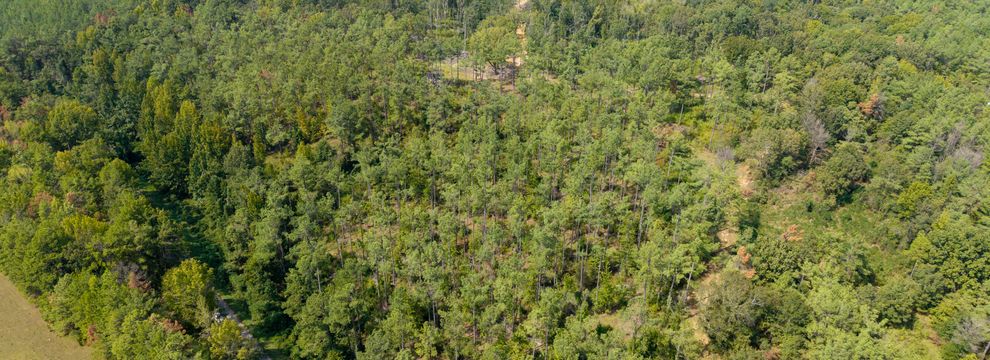 Residential Property for sale in Yalobusha County, Mississippi