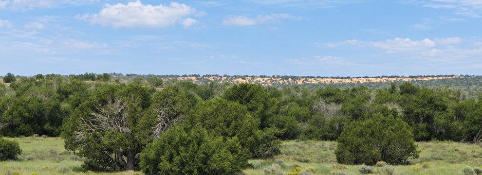 Hunting Land for sale in Apache County, Arizona