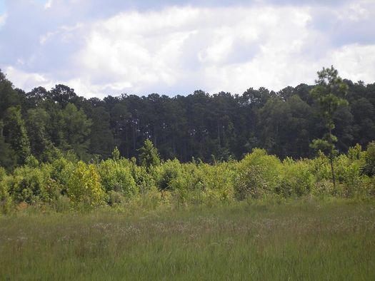 Country Club Rd, Dublin, GA 31021 | MLS: 26025 | Land and Farm