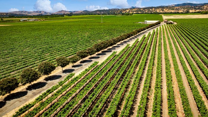 Commercial Land for Sale in United States, United States