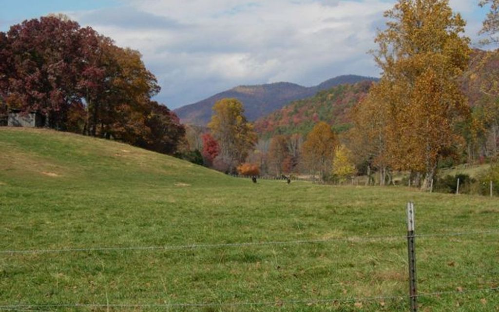 30 acres, Tiger, GA, Property ID 515049 Land and Farm