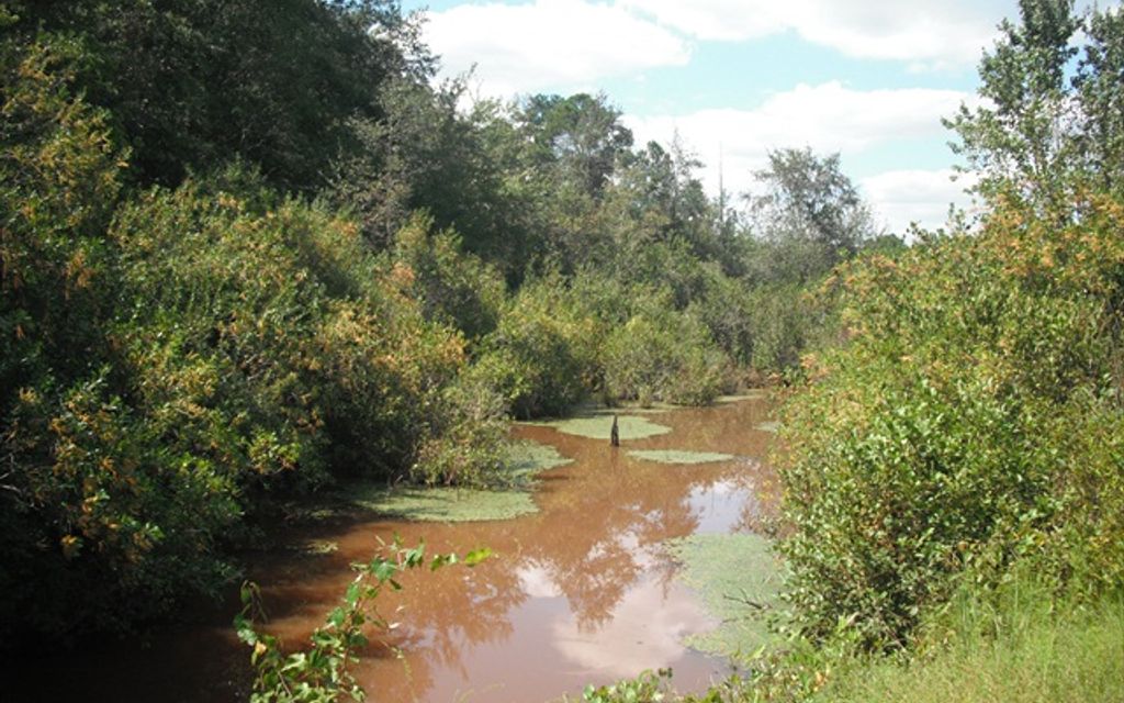 287 acres, Oglethorpe, GA, Property ID 572411 Land and Farm