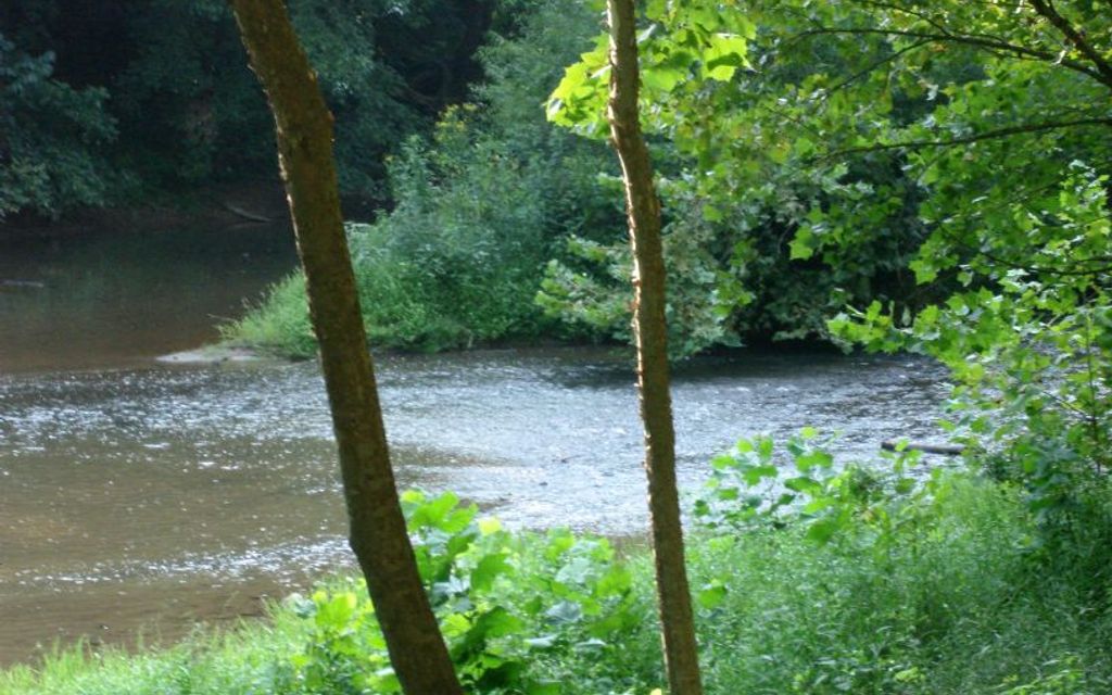 16.75 acres, Bedford, VA, Property ID 148264 Land and Farm