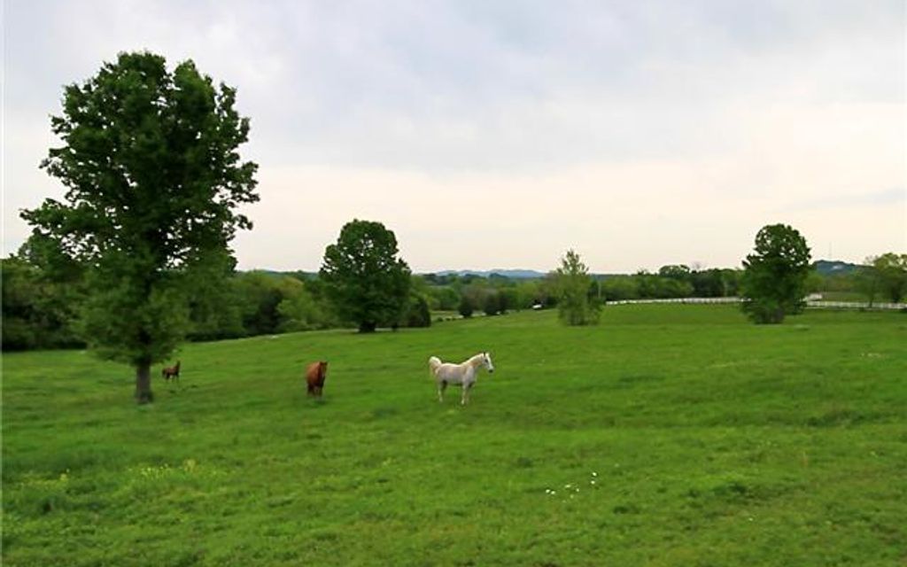133 acres, Shelbyville, TN, Property ID 639609 Land and Farm