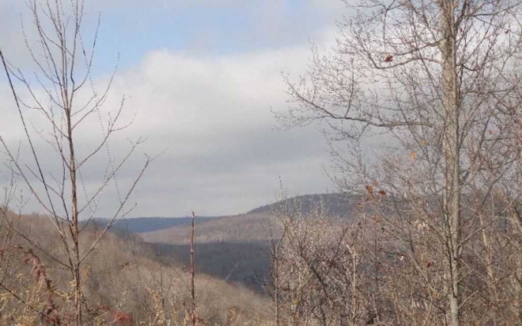 255.56 acres, CRAWFORD, TN, Property ID 640507 Land and Farm