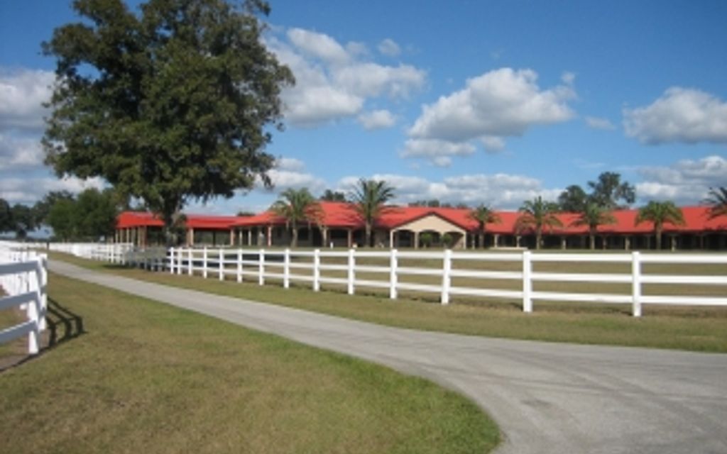 91 acres, Ocala, FL, Property ID 339556 Land and Farm
