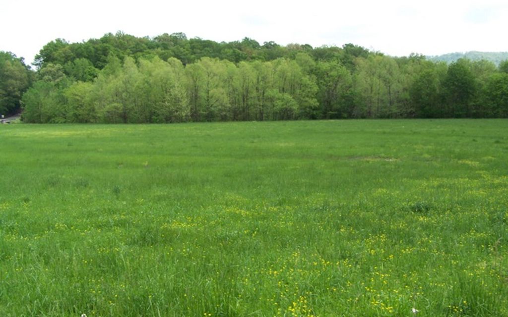 58 acres, Morrison, TN, Property ID 691772 Land and Farm