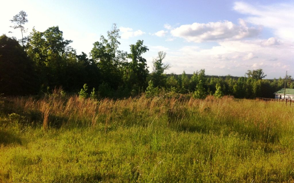 9.6 acres, Carlton, GA, Property ID 701395 Land and Farm