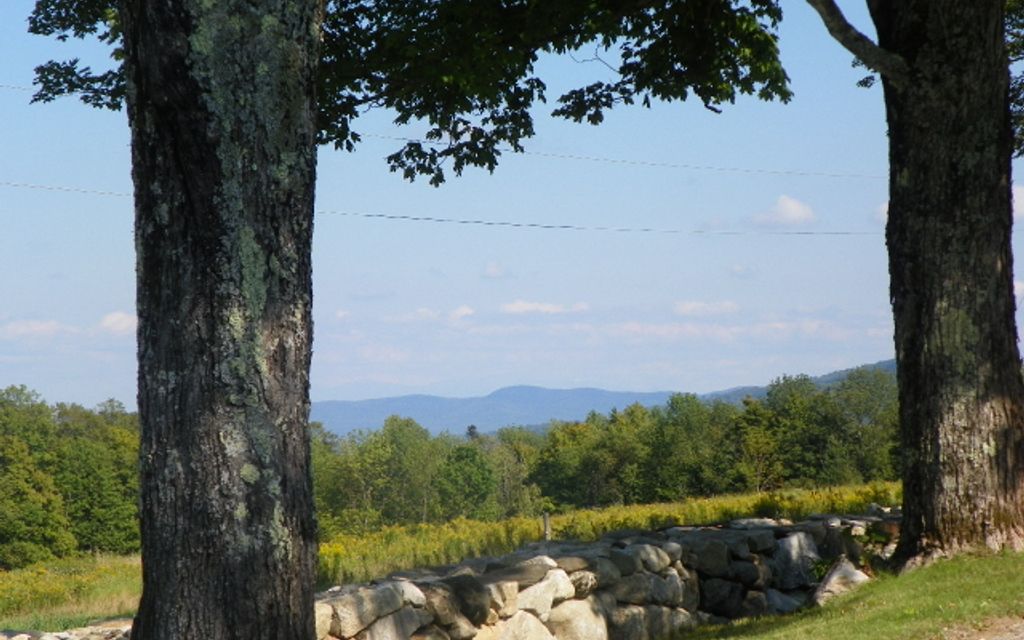 114 acres, Peacham, VT, Property ID 782184 Land and Farm