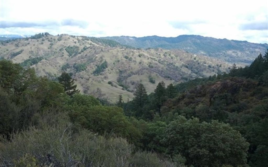 81 acres, Willits, CA, Property ID 715529 Land and Farm