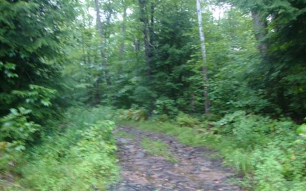 126.5 acres, Plymouth, NH, Property ID 908182 Land and Farm