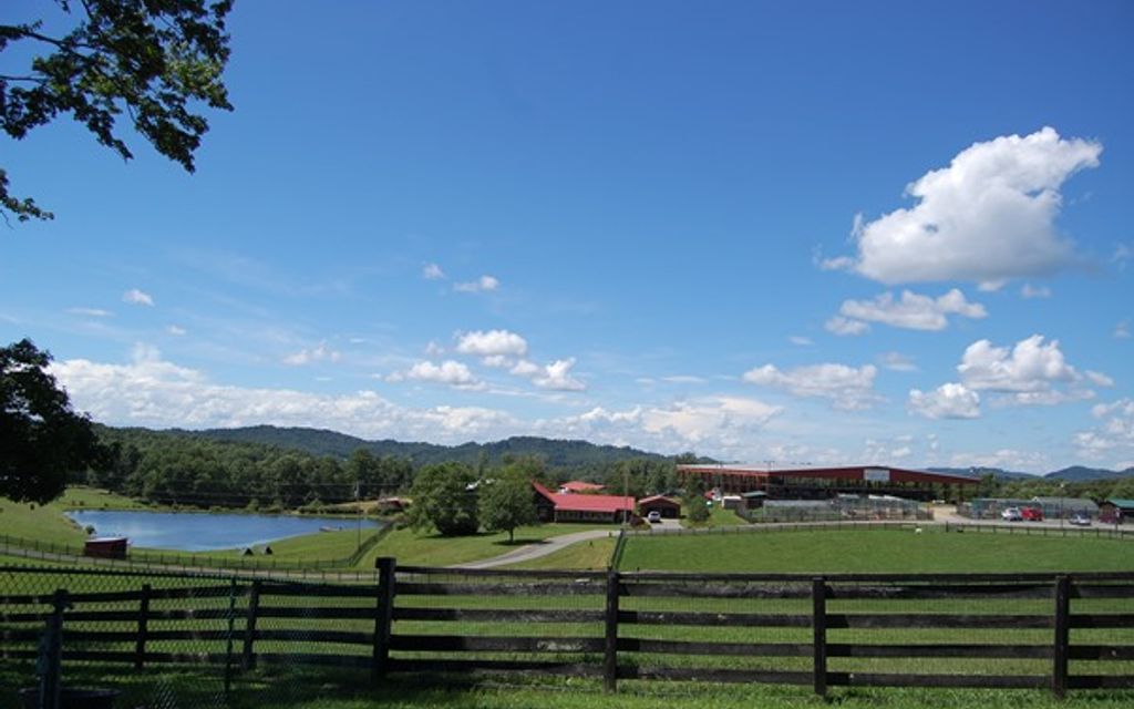 402 acres, Canvas, WV, Property ID 916265 Land and Farm