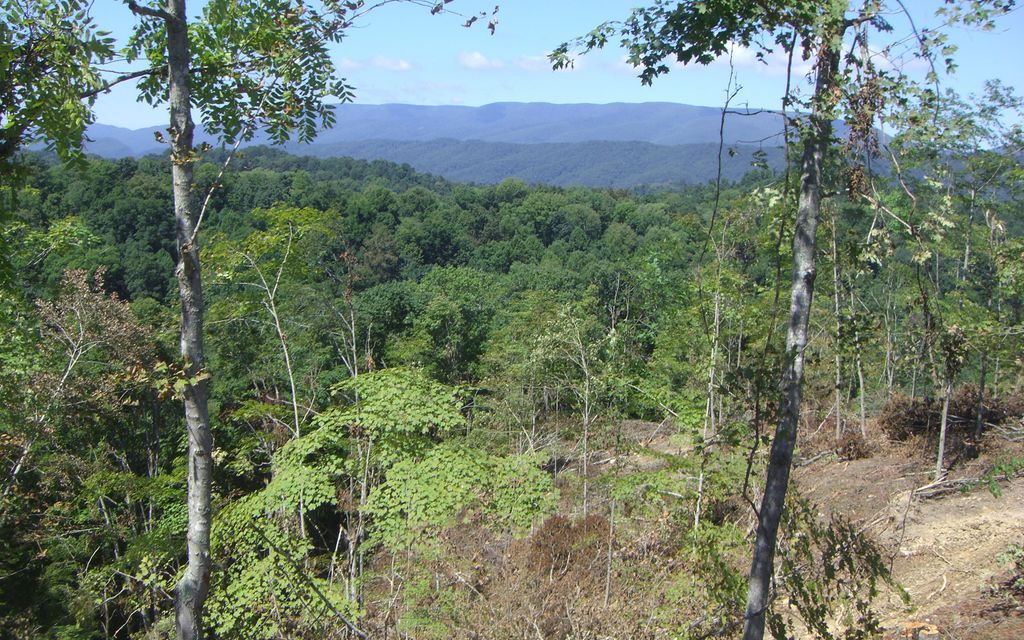 96 acres, abingdon, VA, Property ID 1010658 Land and Farm