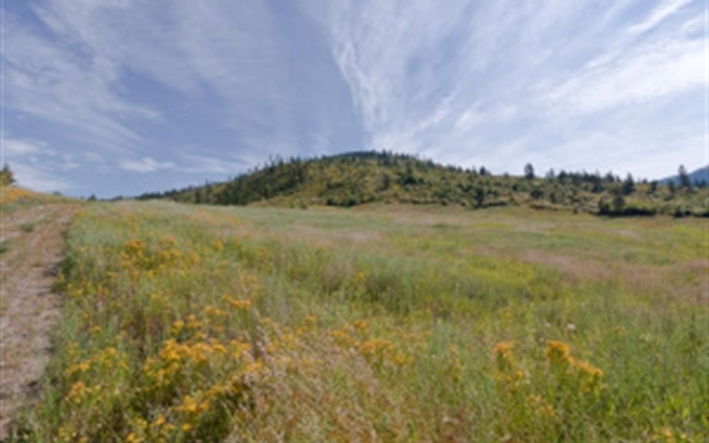 280 acres, COLVILLE, WA, Property ID 1013782 Land and Farm