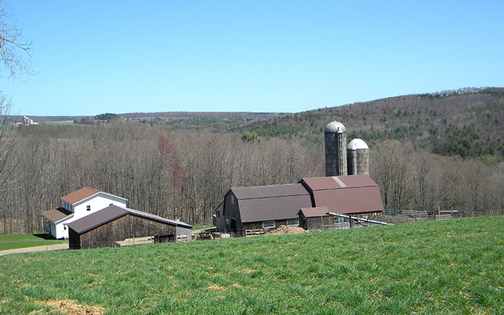 88.9 acres, Wheeler, NY, Property ID 1015326 Land and Farm