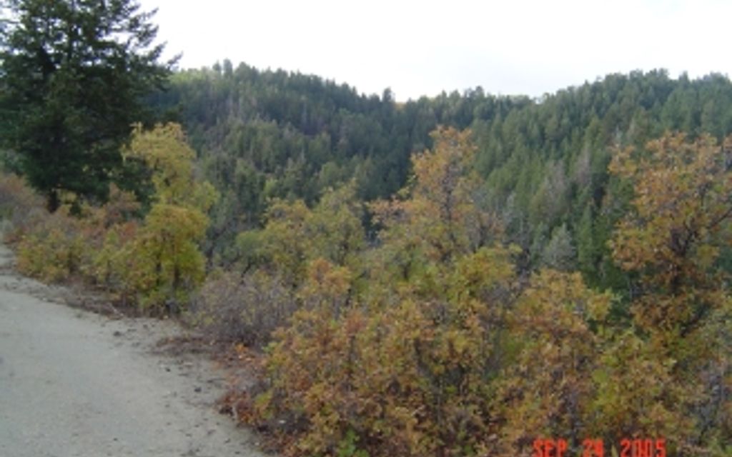 8000 acres, Rifle, CO, Property ID 213972 Land and Farm