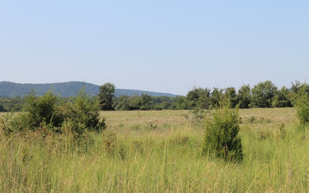 5.01 acres, Daisy, OK, Property ID 1085610 Land and Farm