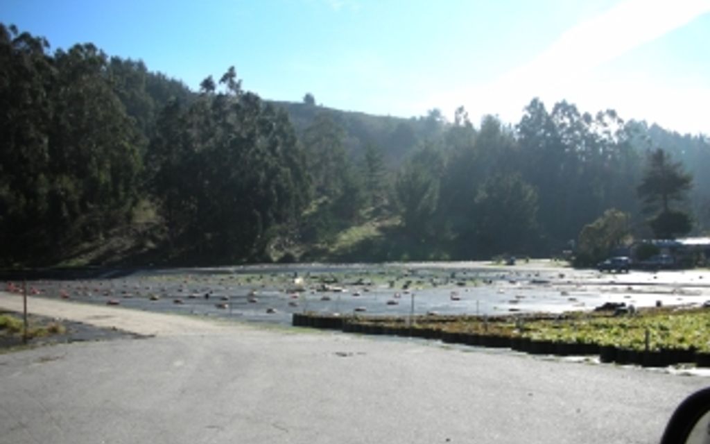 32 acres, Half Moon Bay, CA, Property ID 222265 Land and Farm