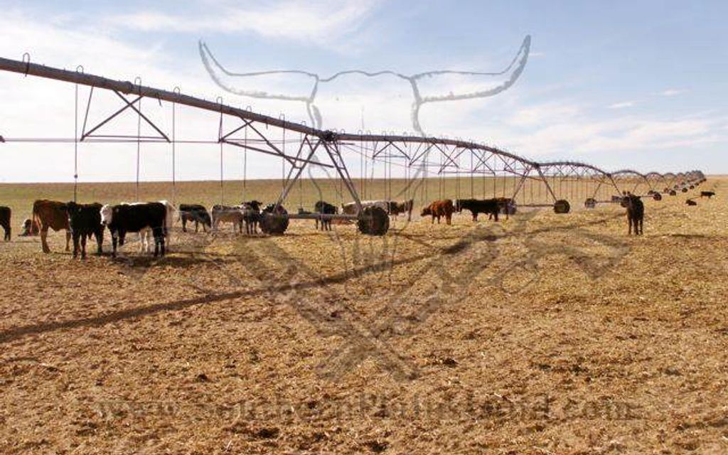 2228.84 acres, Dalhart, TX, Property ID 1205639 Land and Farm
