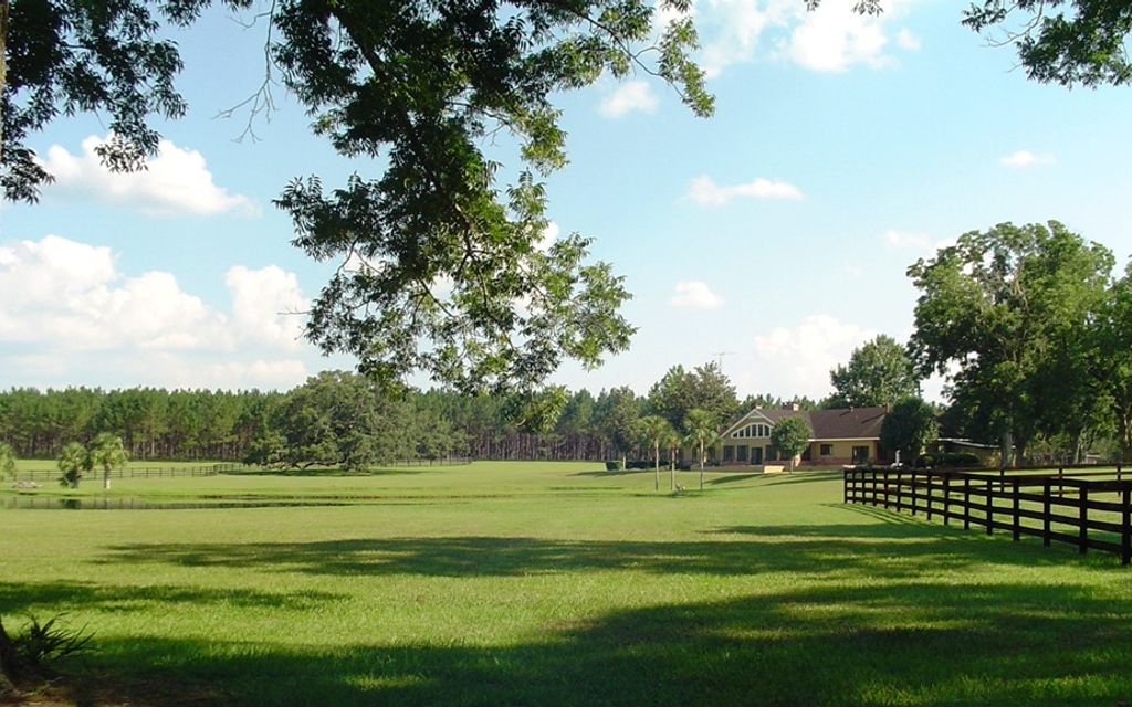 284 acres, Williston, FL, Property ID 1213541 Land and Farm