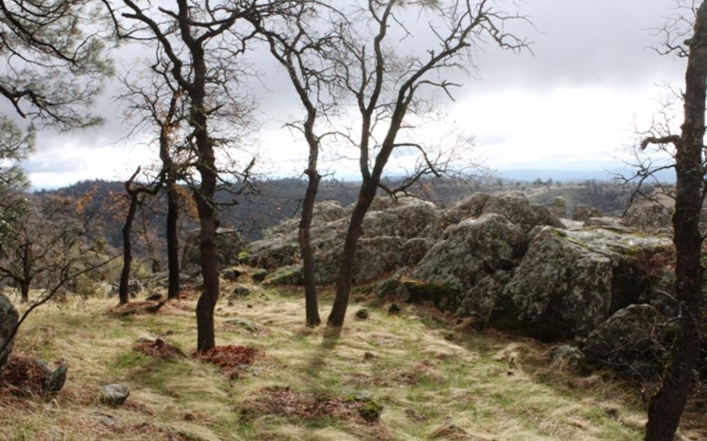 20.05 acres, Angels Camp, CA, Property ID 1220393 Land and Farm