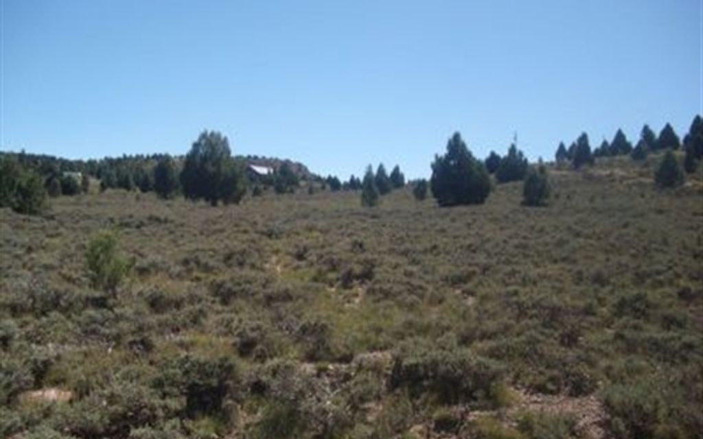 2.08 acres, Long Valley, UT, Property ID 1376655 Land and Farm